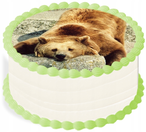 Levně oplatek na dort 14 cm Zvířátka Medvídek Medvěd