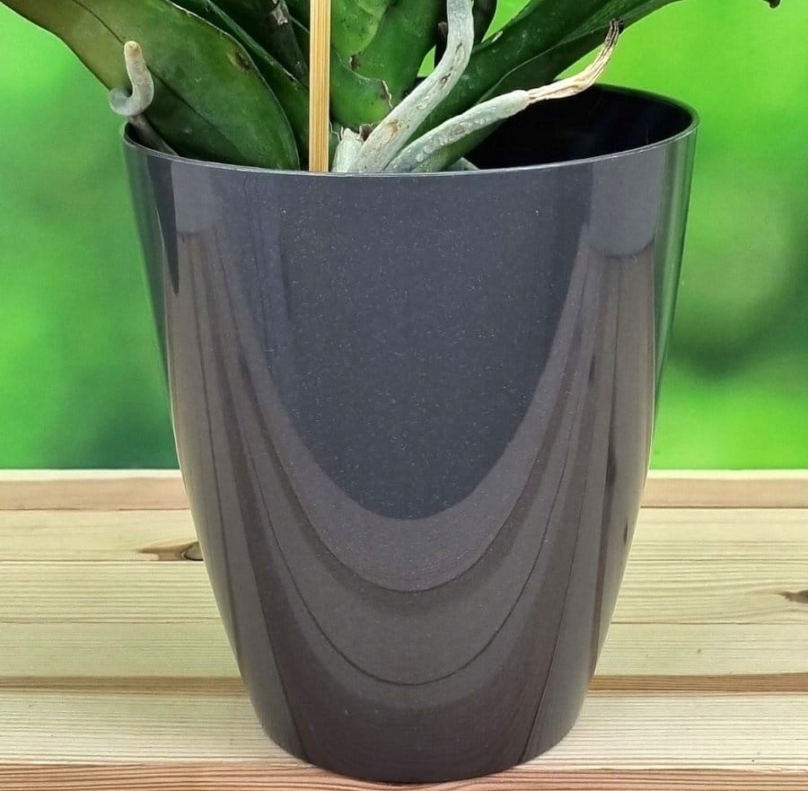 Doniczka osłonka storczyka GRAFITOWA DUŻA 16cm Marka Prosperplast