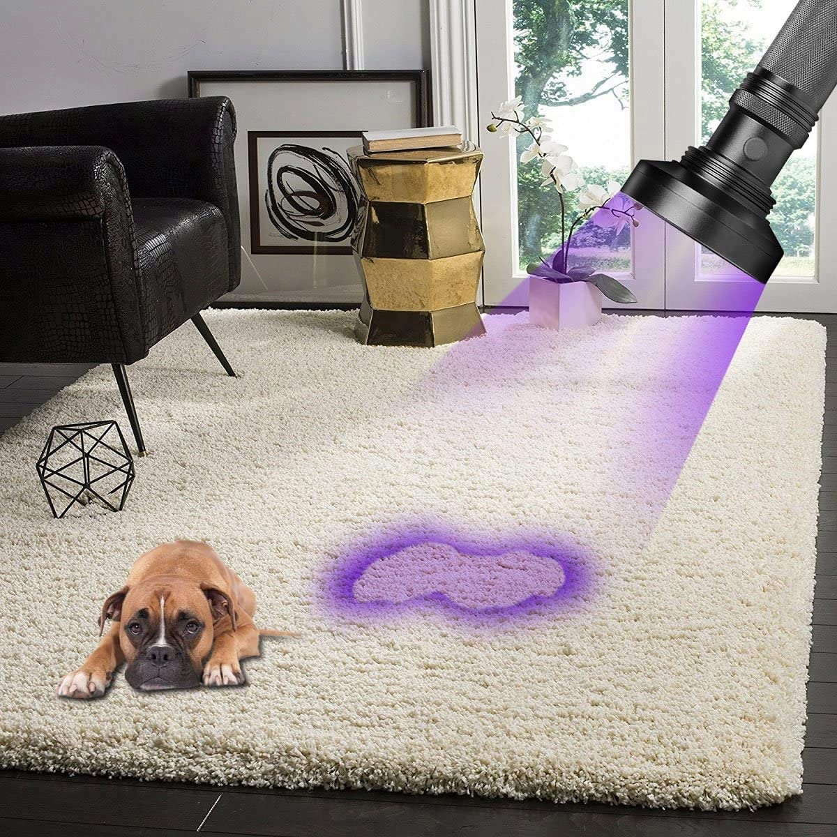 LATARKA UV LED ULTRAFIOLETOWA LAMPA BURSZTYNÓW Długość 19 cm