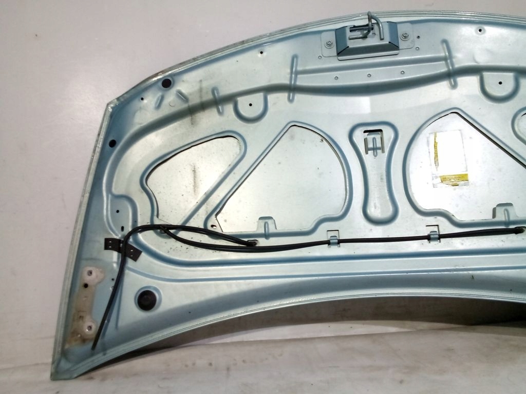 Renault Clio III 3 Cofano TERNK