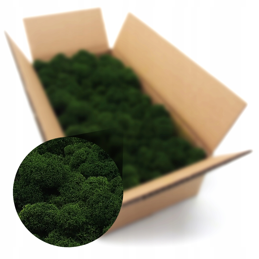 Mech chrobotek fiński 500g Marka inna