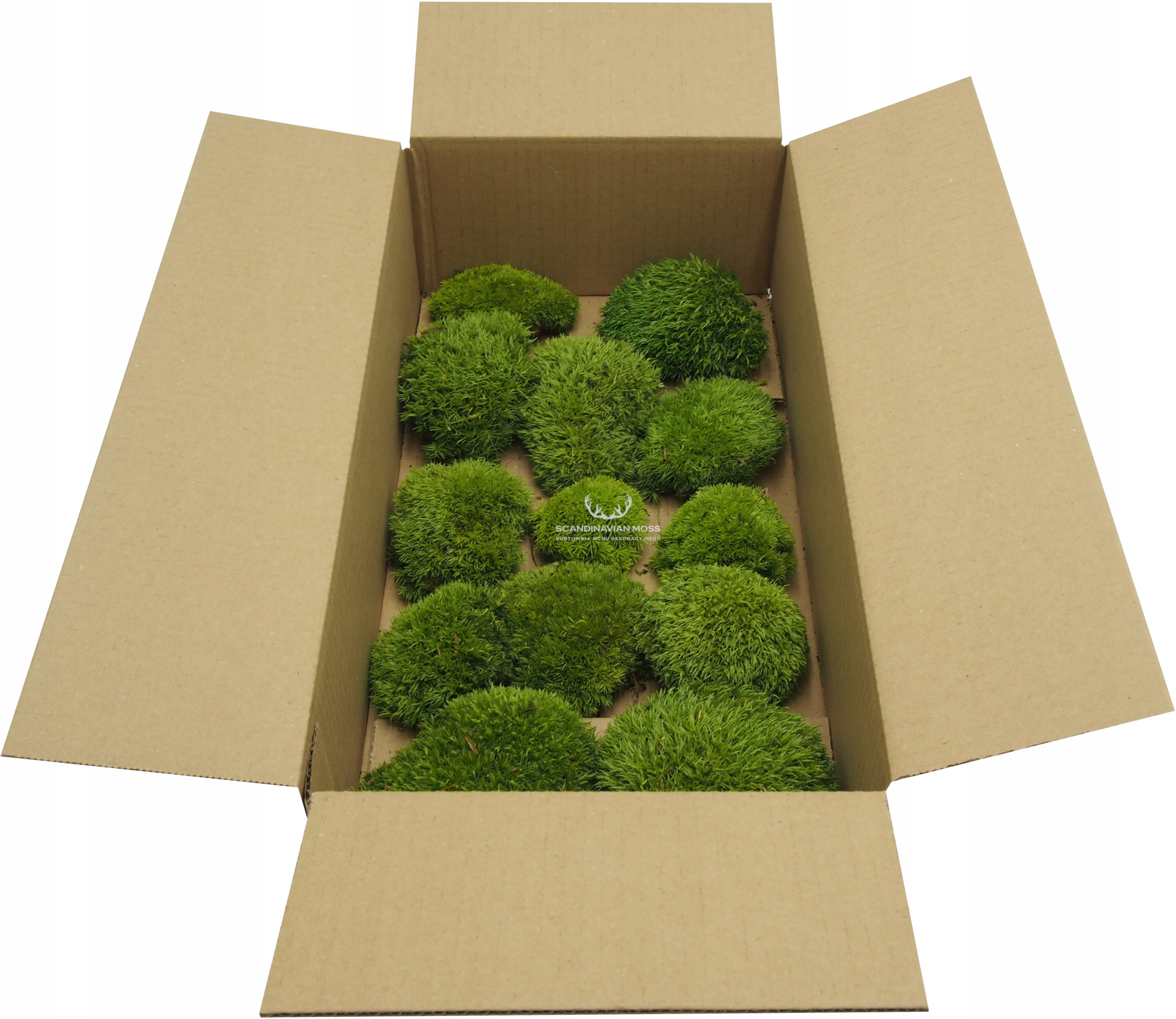 Mech Poduszkowy Jasno ZIeleń karton 100g NETTO