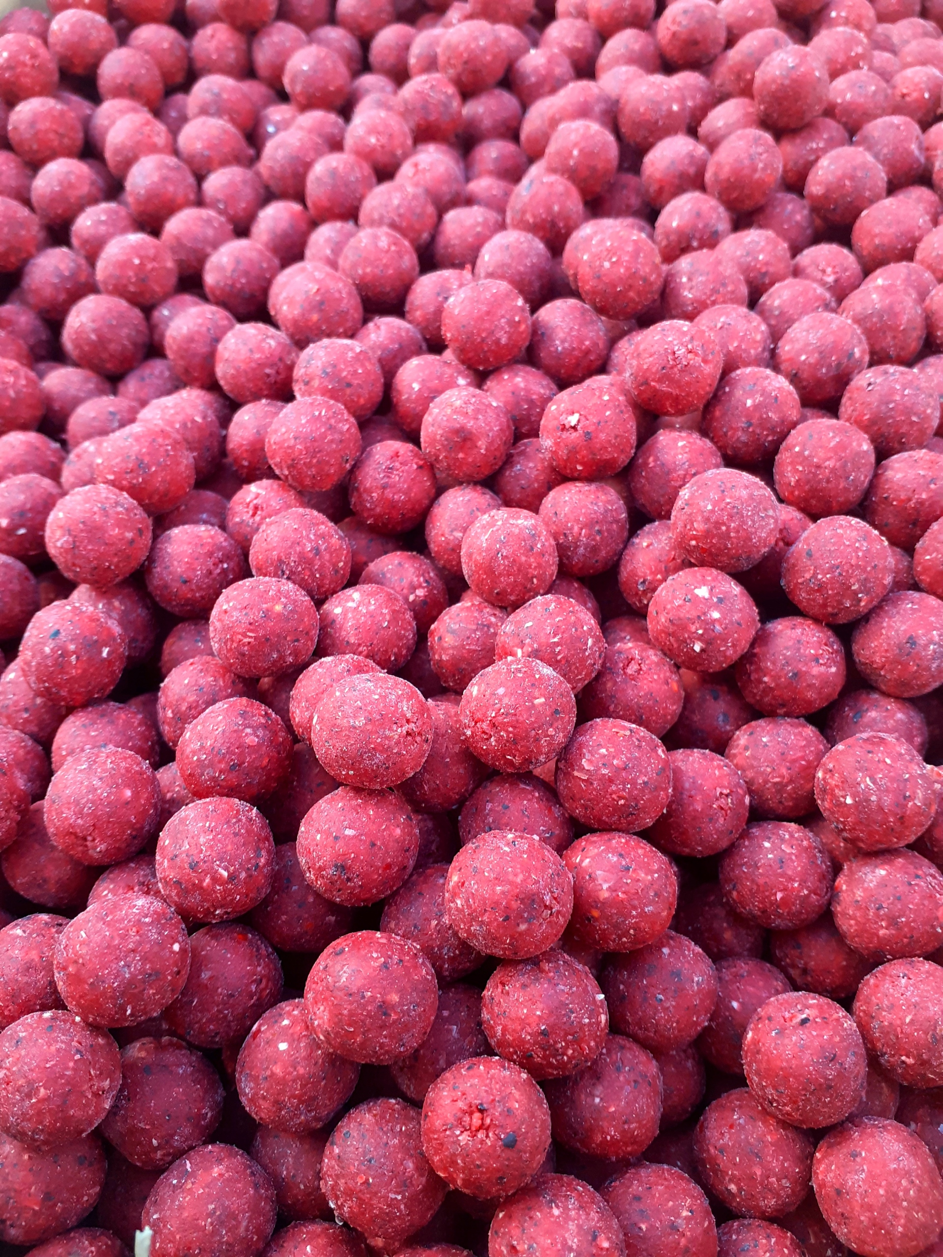 Kulki proteinowe 15mm Truskawka na Ryby 5Kg