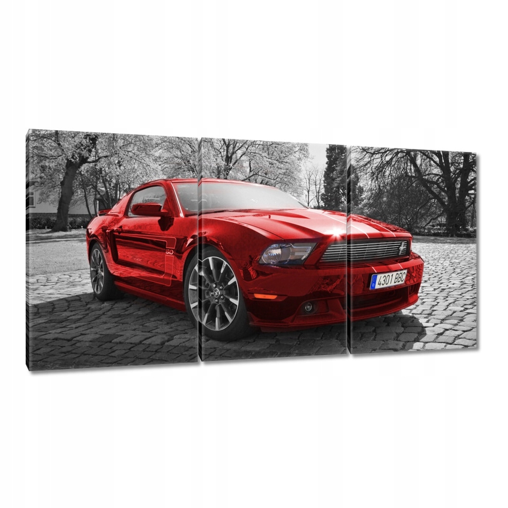 

Obrazy 240x120 Czerwony Ford Mustang Usa