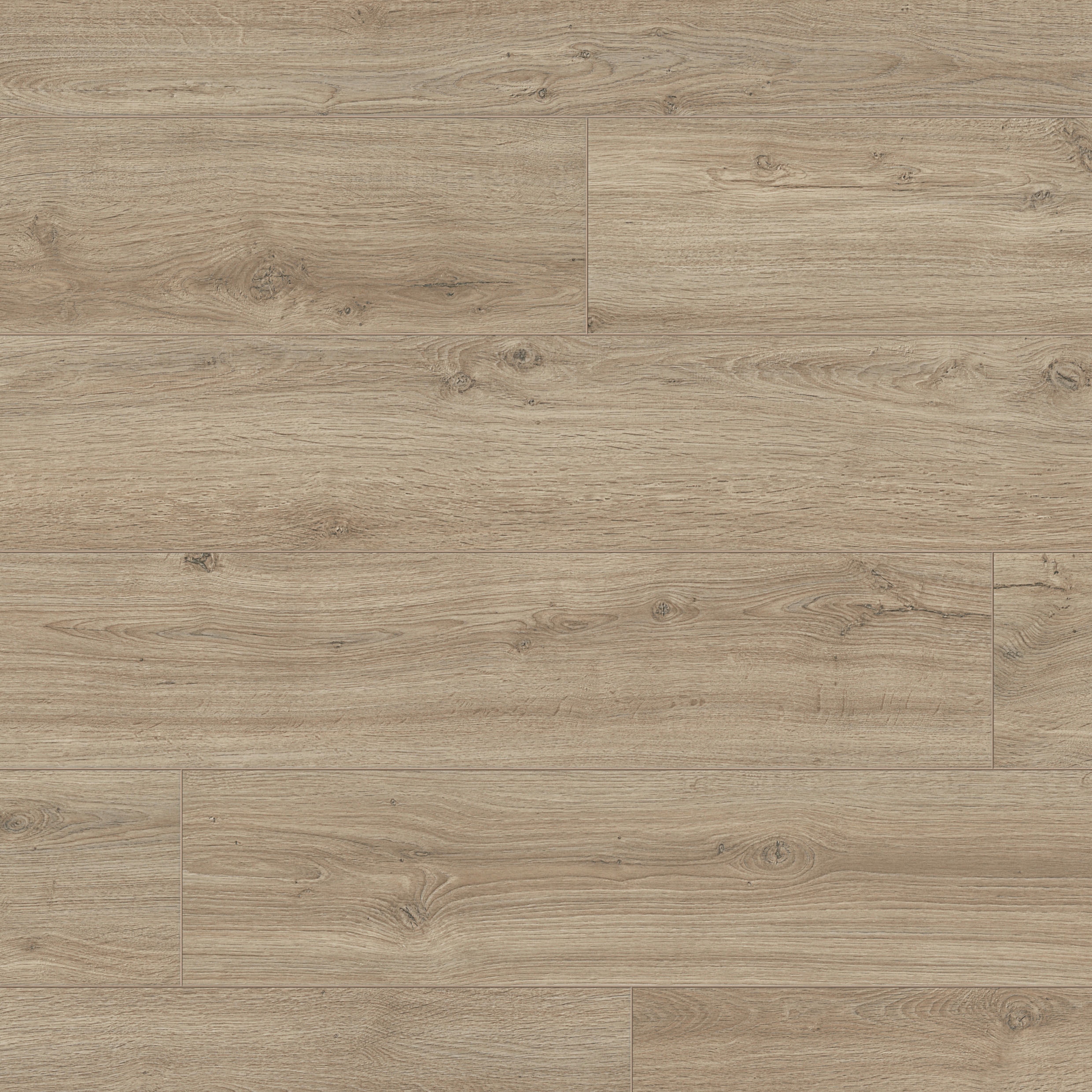 MODERNA ELEGANCE DĄB LOIRE OAK WILDWOOD