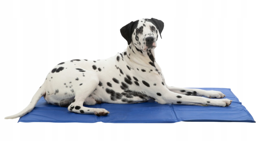 

Mata chłodząca Trixie Duża XL 90 x 50cm Niebieska