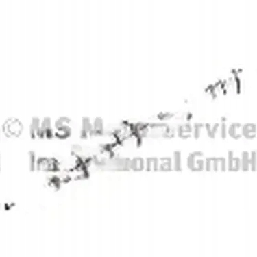 Kolbenschmidt 50006304 распределительный вал