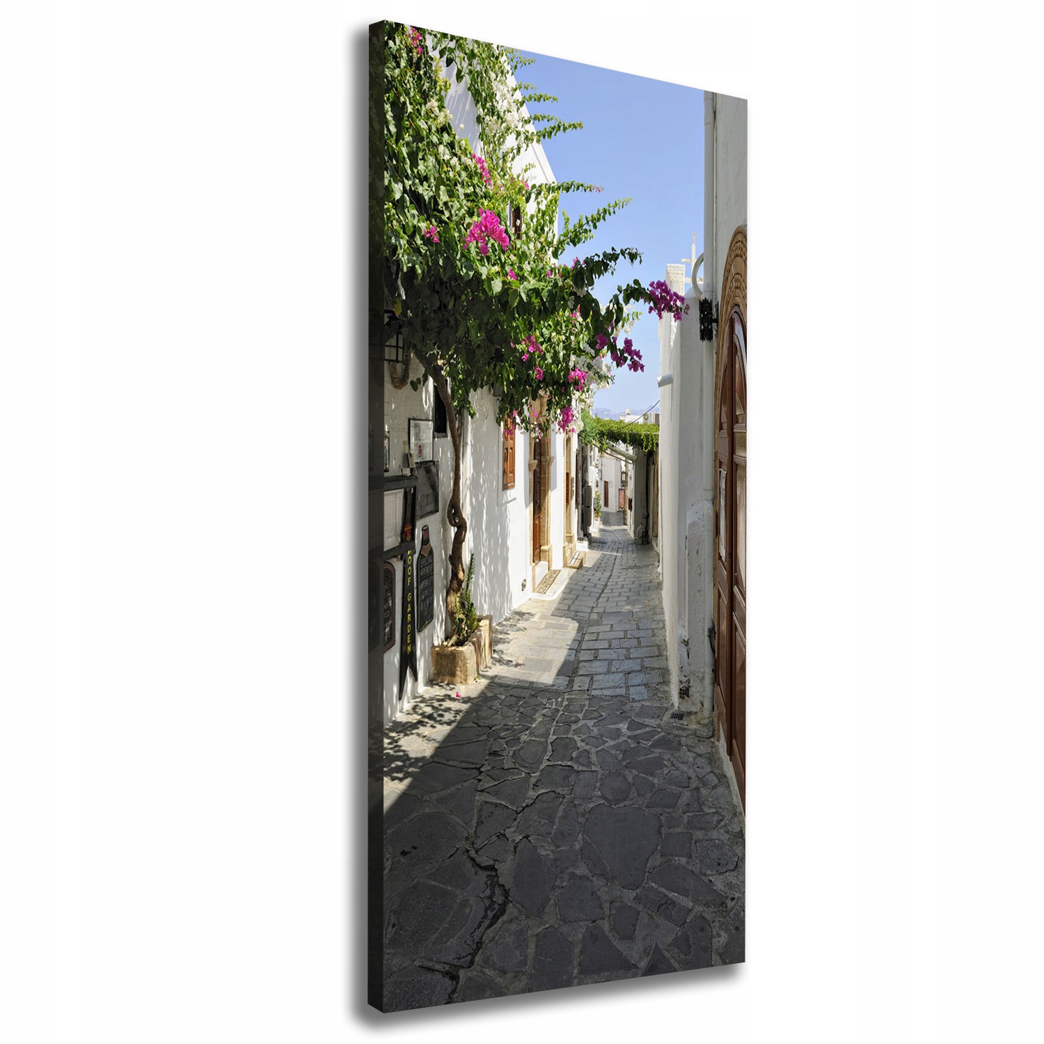 

Foto obraz na płótnie Urokliwa ścieżka 50x125 cm