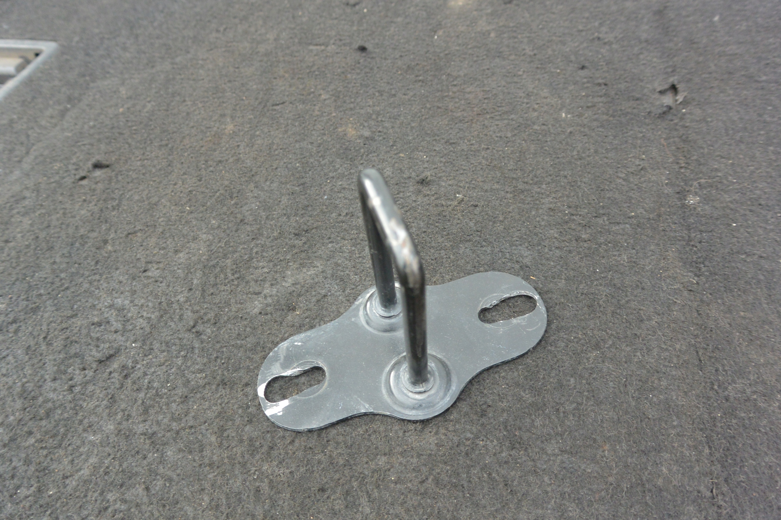 RYGIEL hook of a lock bonnets TESLA MODEL S LIFT