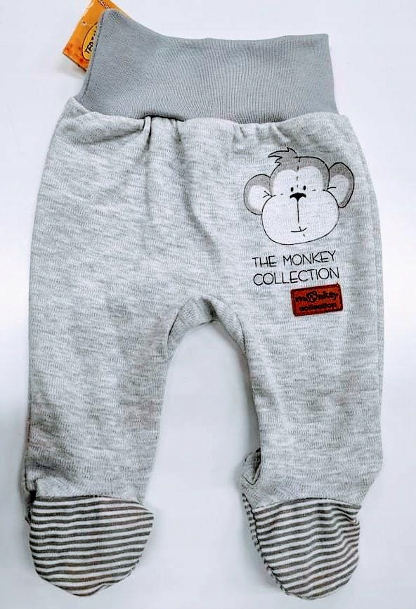 

Terjan monkey półśpioch 68 szary