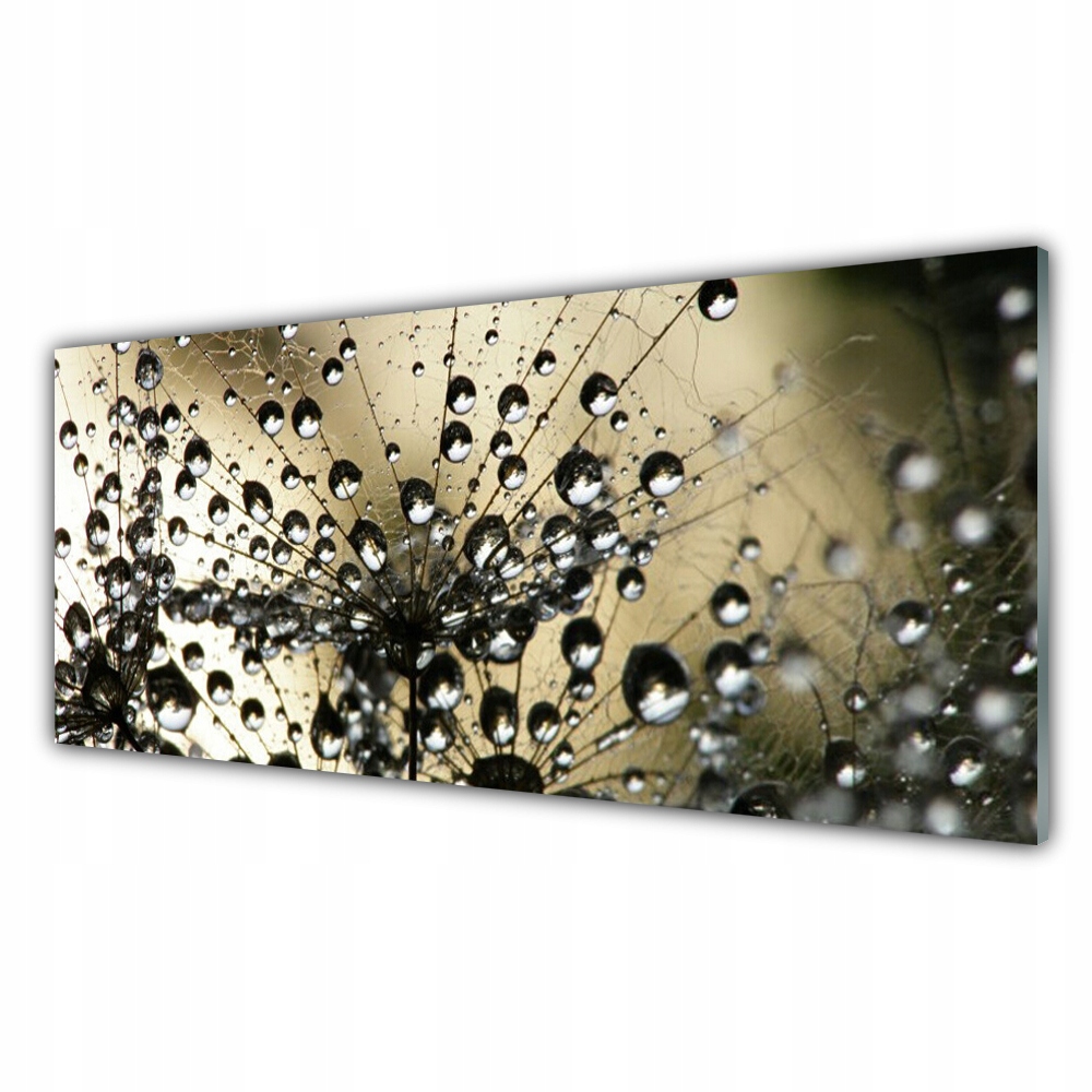 

Fotoobraz akryl 125x50 cm Mniszek Lekarski Roślina