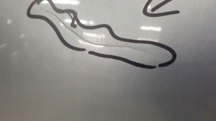 OPEL ZAFIRA C DRZWI LEWE PRZÓD Typ samochodu Samochody osobowe