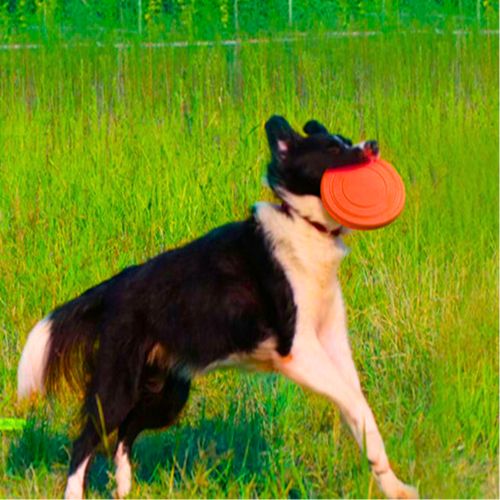 DYSK FRISBEE DO RZUCANIA DLA DZIECI GRA ZRĘCZNOŚCIOWA ZABAWA Z PSEM Marka inna