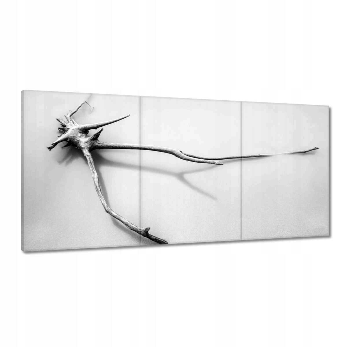 Obrazy 180x90 More Koreň na pláži