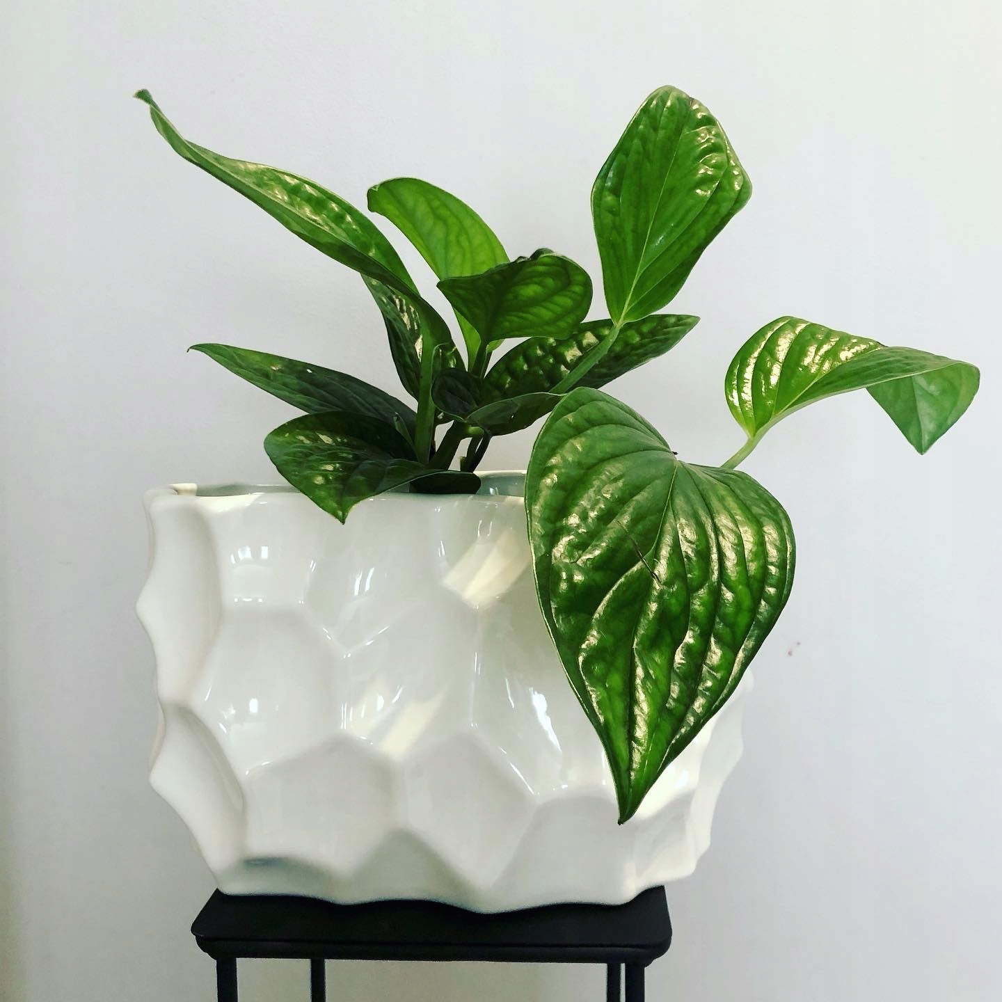 

Osłonka ceramiczna podwójna biała/krem Majka