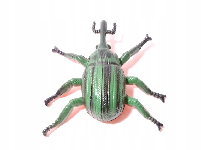 

Insekty Owady Robale Nr E Fajny Żuk NR1