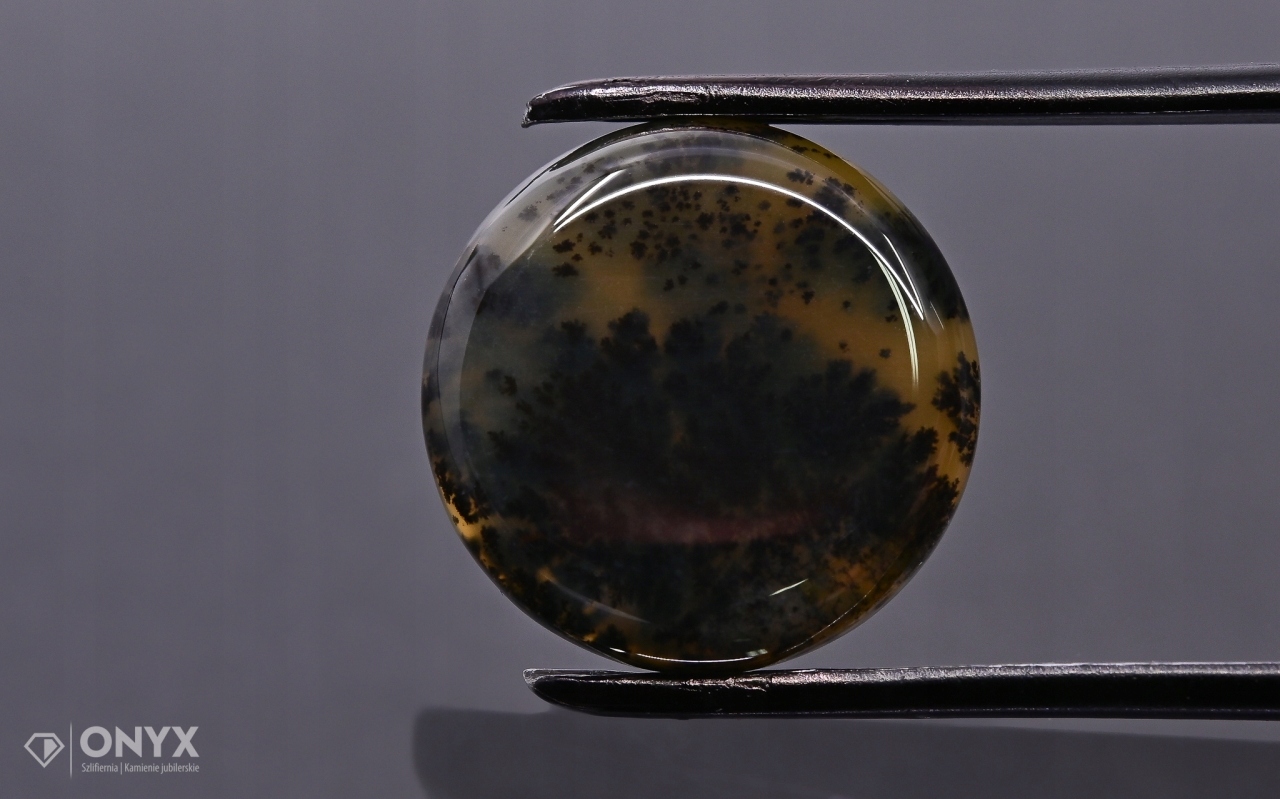 Dendritový achát z Kazachstánu konvexní mělký kruh