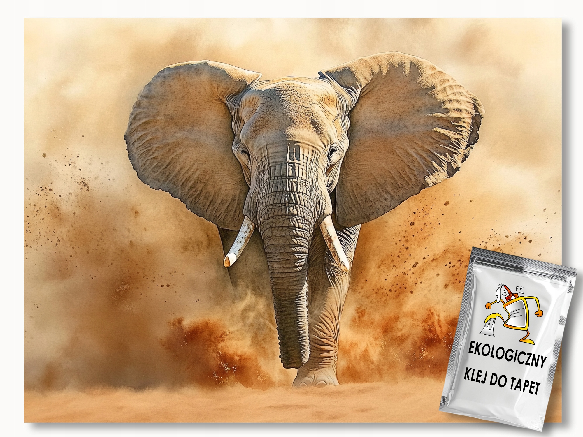 Fototapeta Flizelina Příroda Fauna Afrika Indie Slon Procházka 350x250 lepidlo