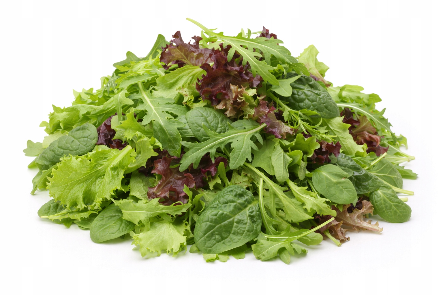 MIX Sałat Świeży 100g