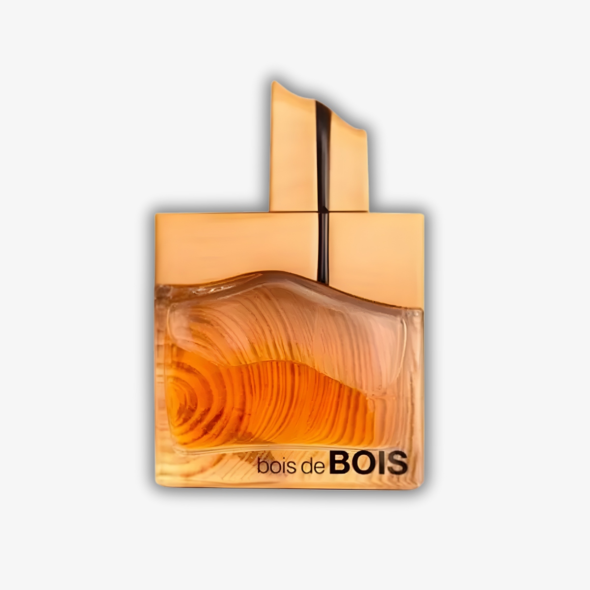 Fragrance World Bois De Bois Eau De Parfum 100 ML