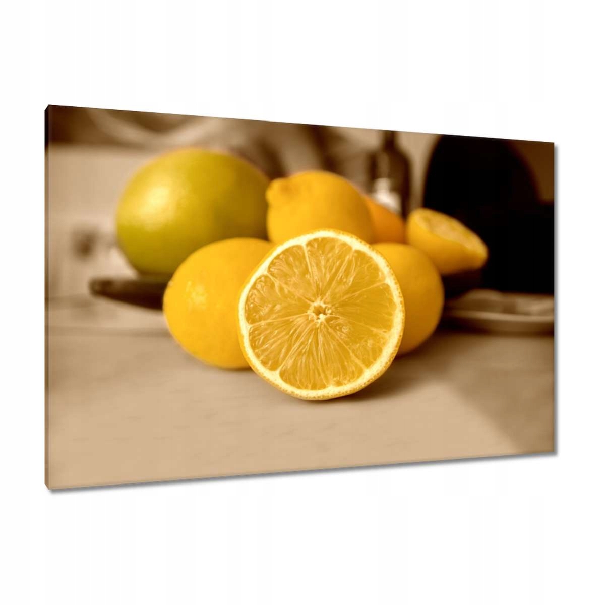 Obrazy 120x80 Citrony sépie