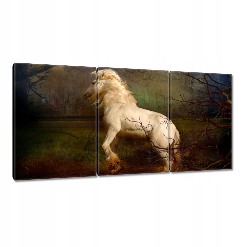 

Obrazy 120x60 Koń Konie Jeździectwo