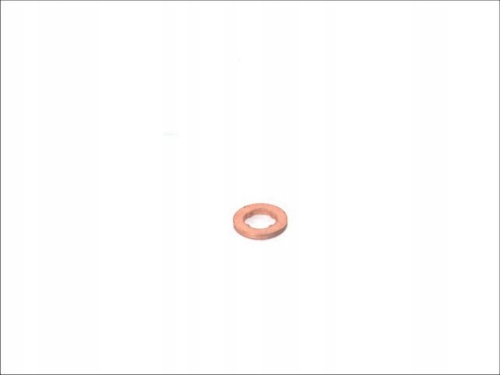 

Bosch F 00V P01 004