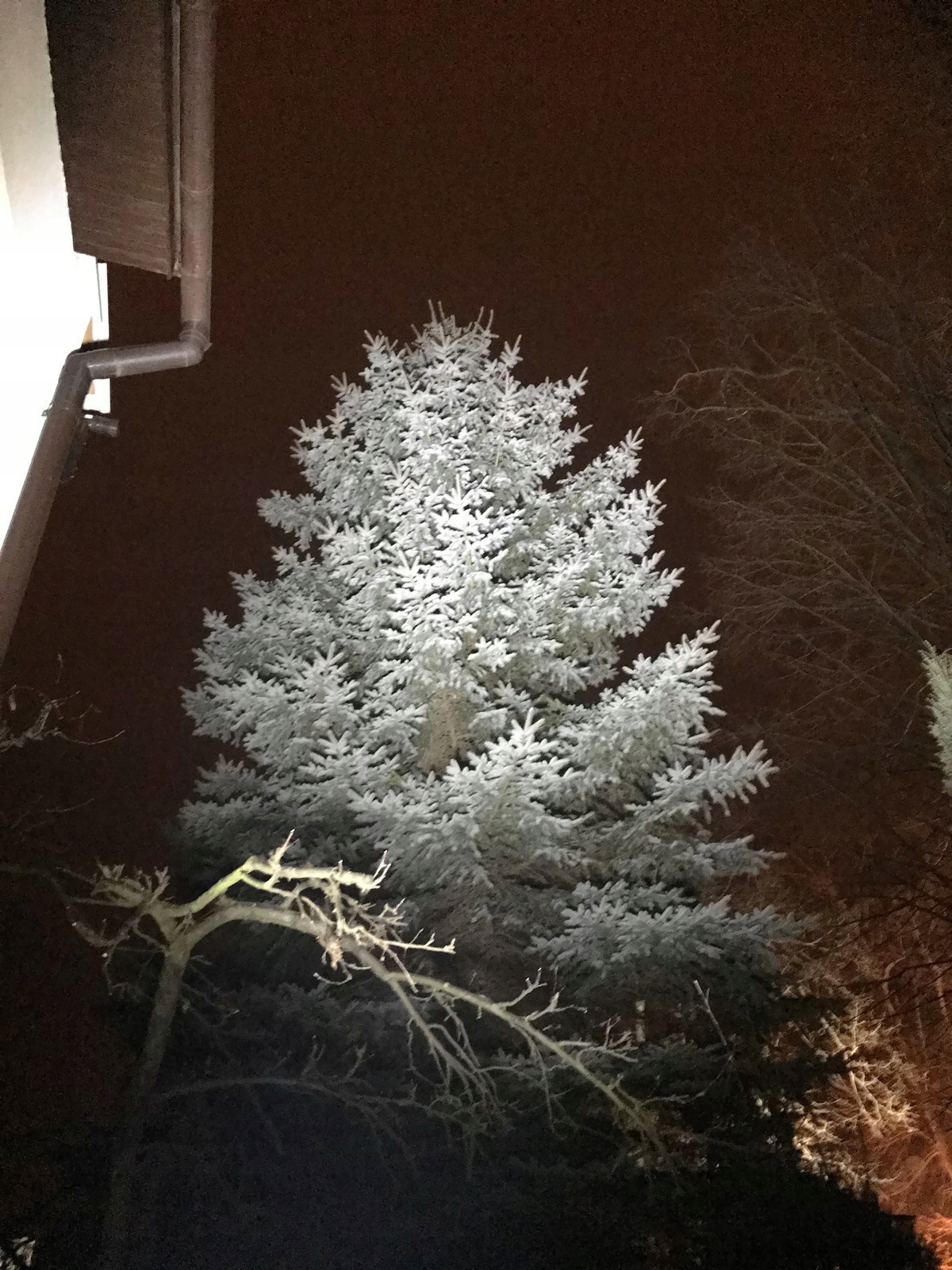 1060afac49358aeff9ba235323c7