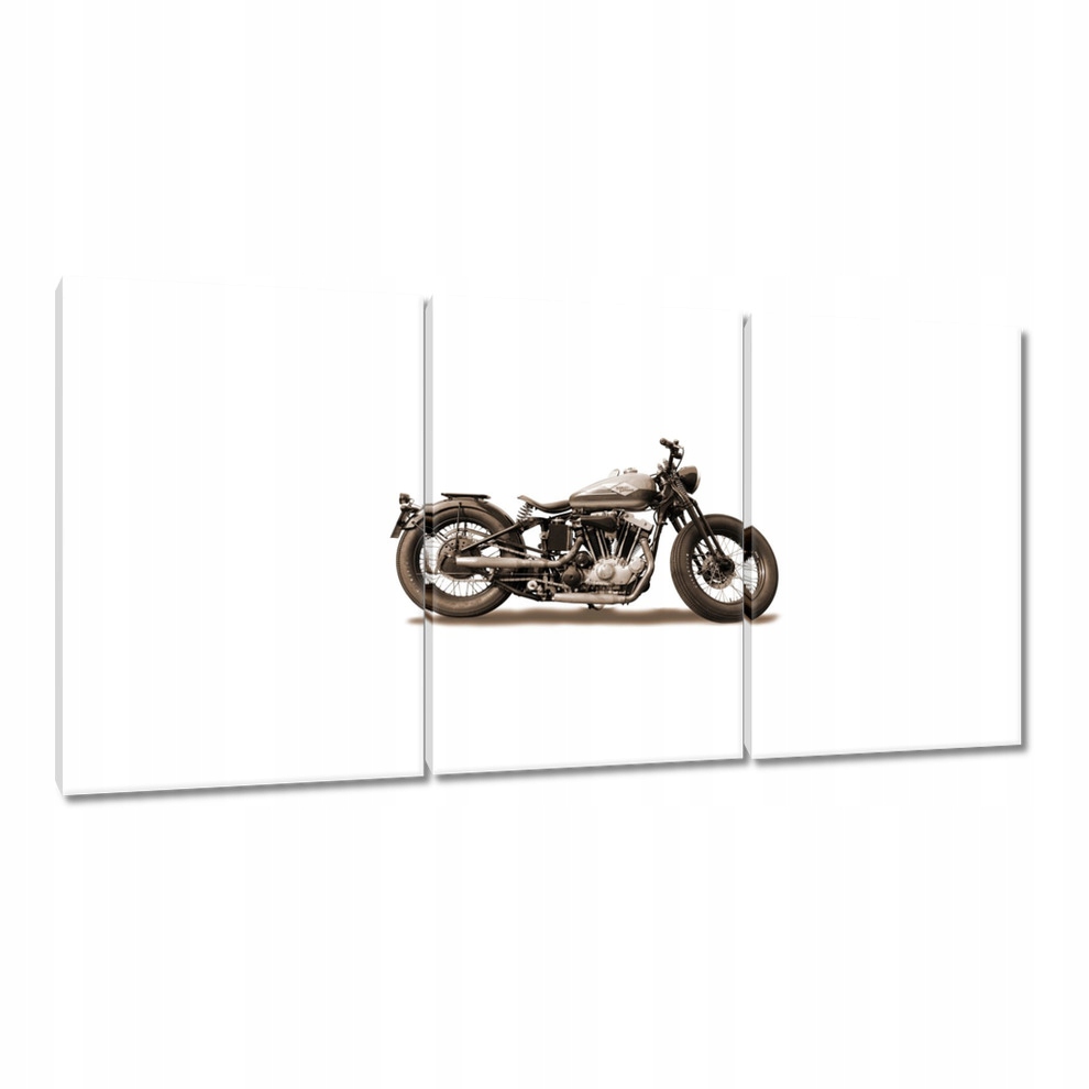 

Obrazy 120x60 Harley Davidson Motocykl