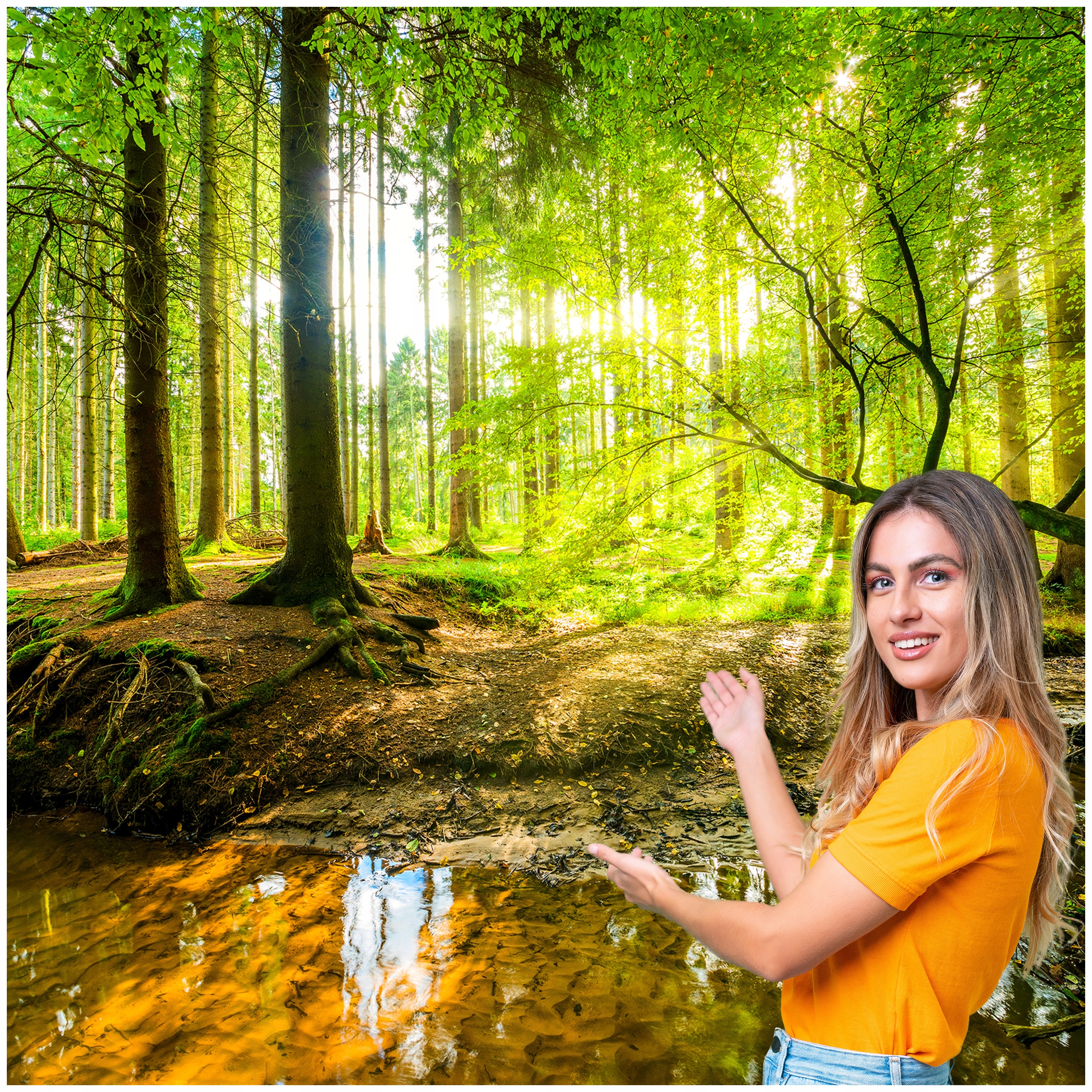 3D fototapeta Obývacia Izba Spálňa Les Stromy Slnko 294x260 P09F