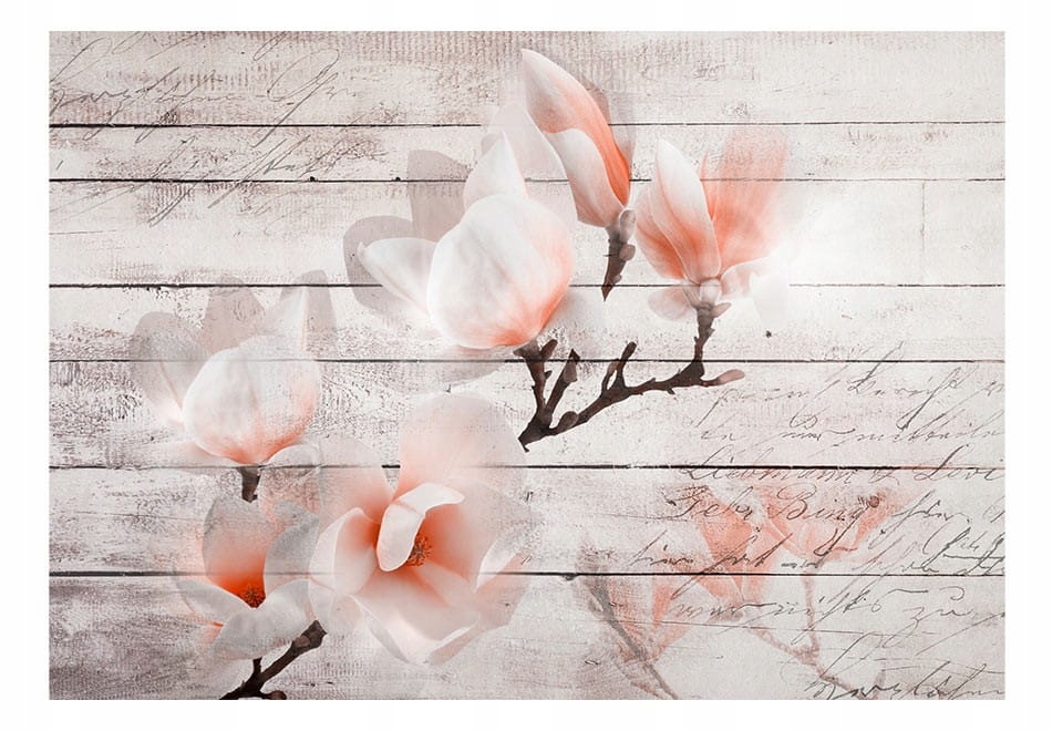 

Fototapeta - Subtelność Magnolii - 400X280