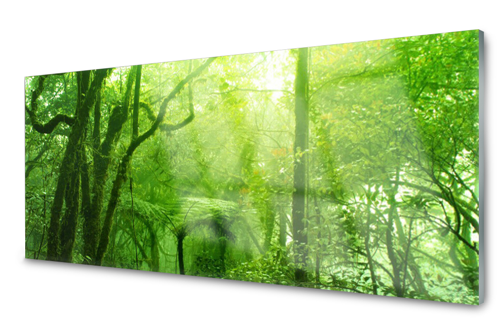 

Panel szklany do kuchni Dekor Drzewa 125x50