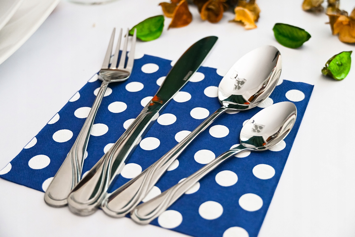 ZESTAW SZTUĆCÓW NA 12 OSÓB SZTUĆCE POŁYSK KOMPLET WALIZKA 72 EL Typ produktu wielorazowy