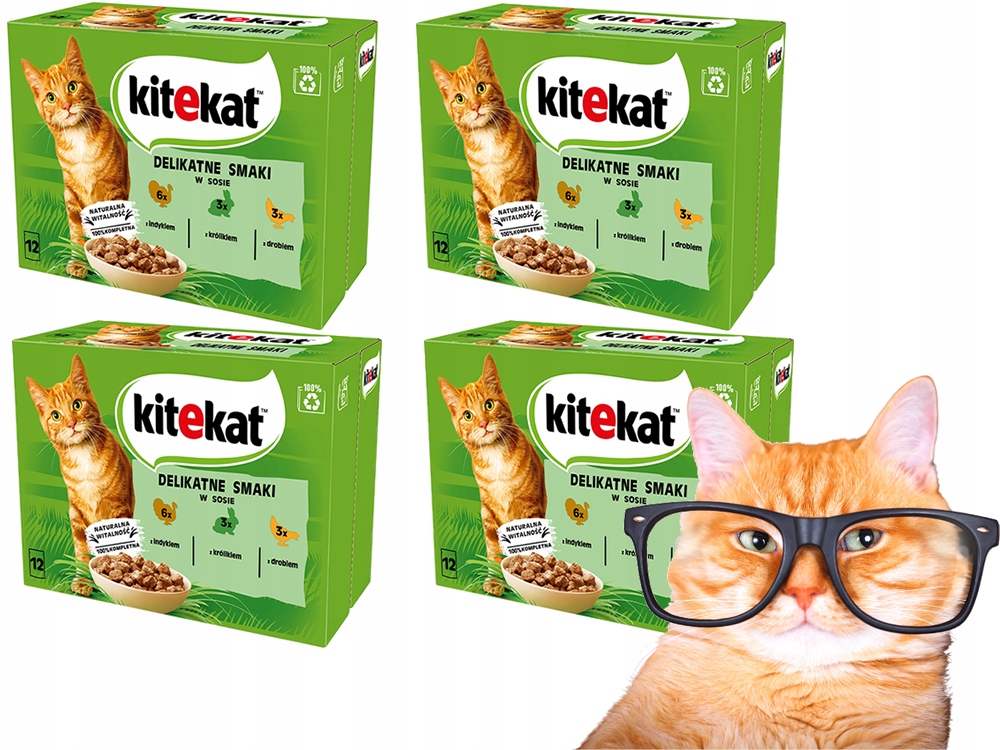 Kitekat Sáčky Jemné Příchutě 48x 85 g