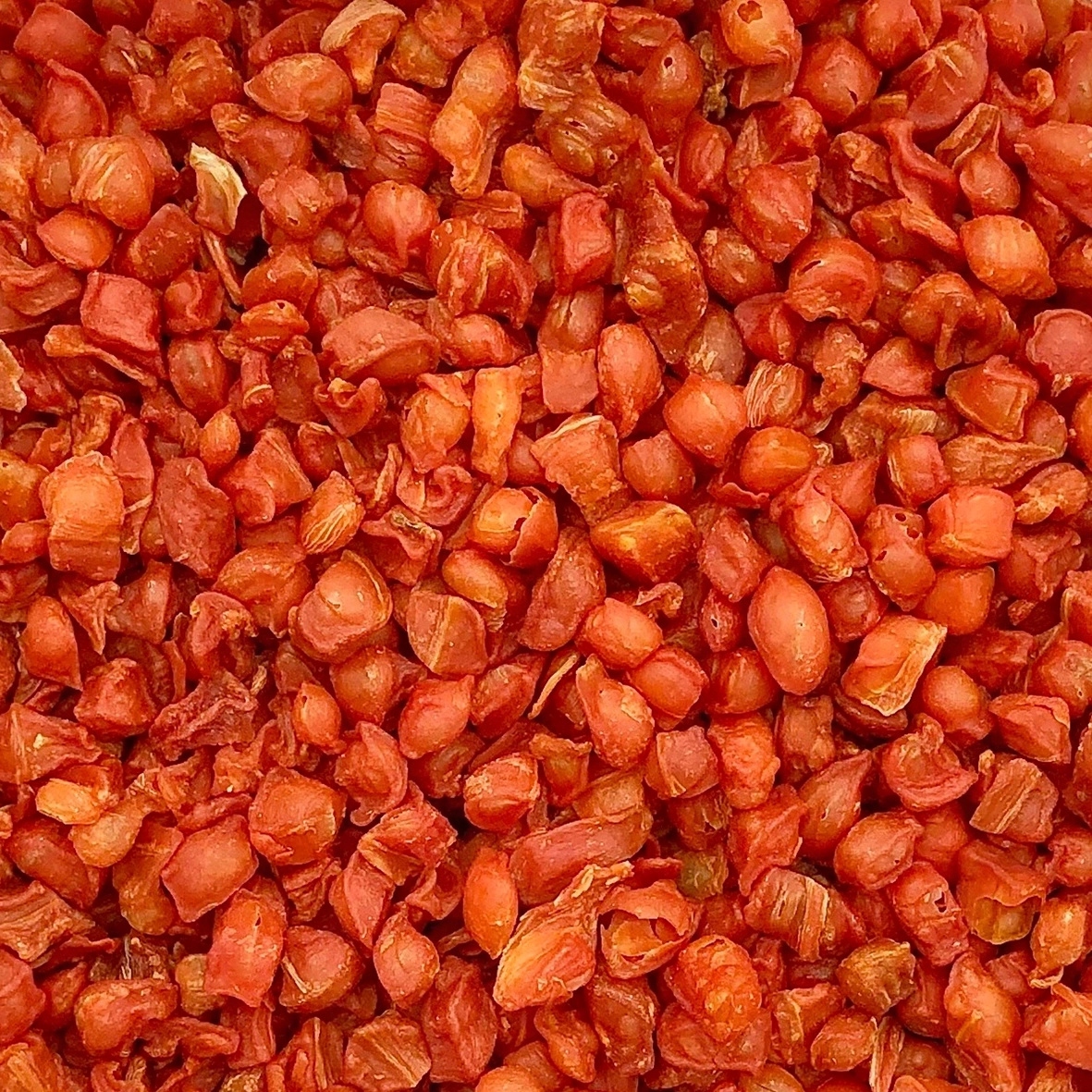 500g Marchew KULKA marchewka suszona warzywa dla papug Champi