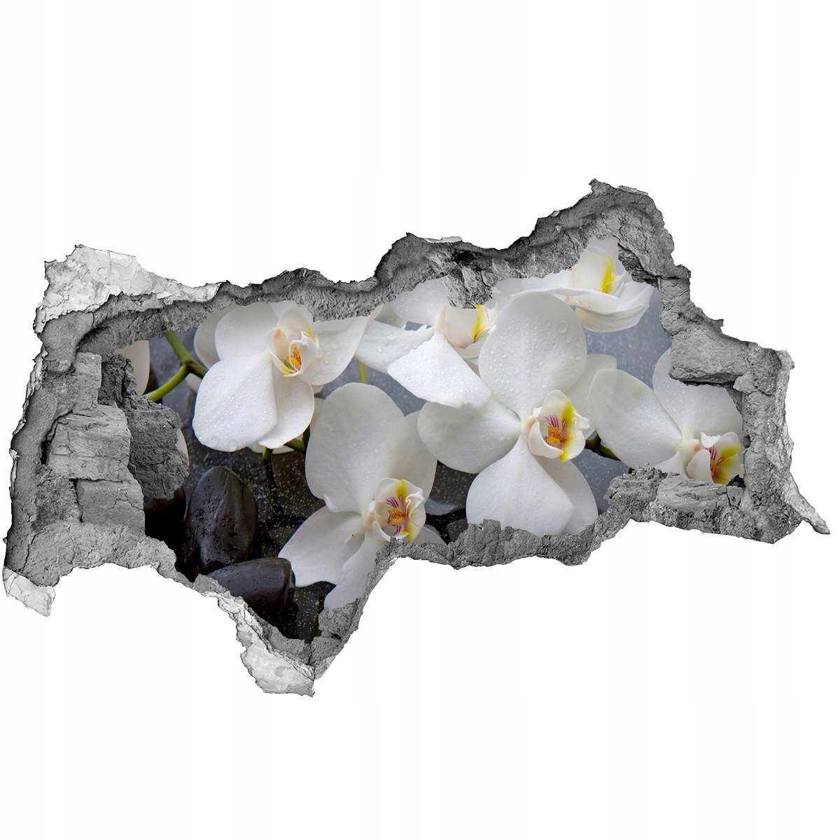 

Samoprzylepna Naklejka fototapeta Orchidea 115x88