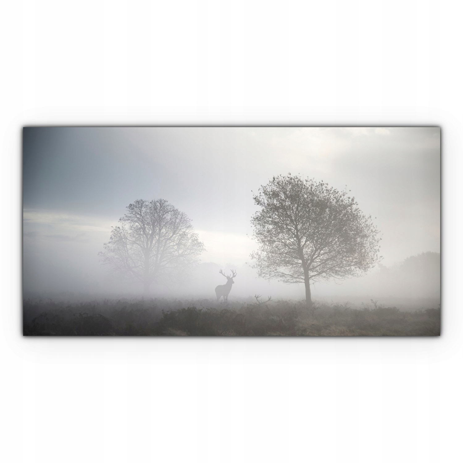 

foto-obraz na płótnie 120x60 Jeleń Mgła Krajobraz