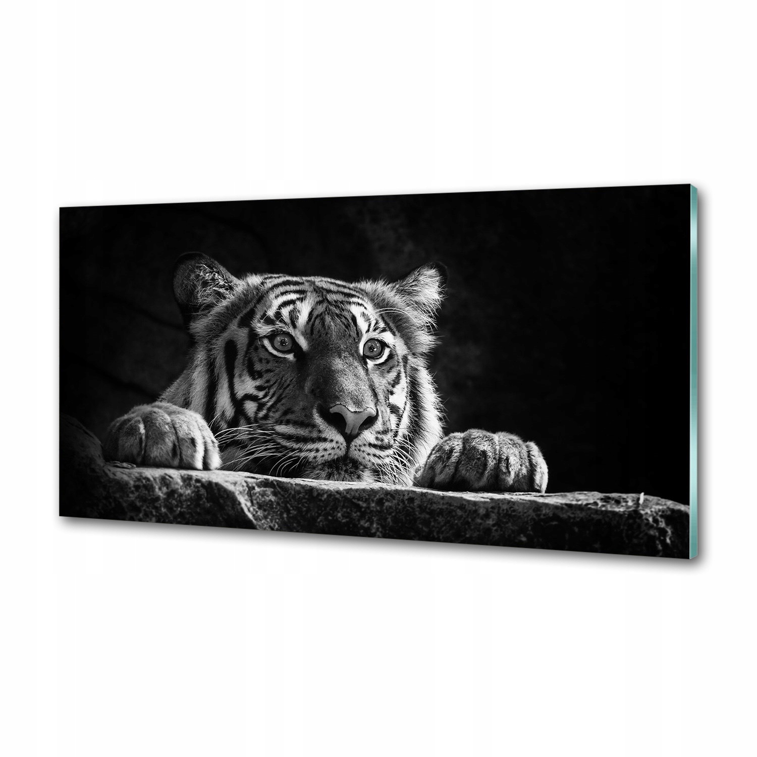 Sklenený panel do kuchyne Tiger 120 x 60 cm Lepidlo