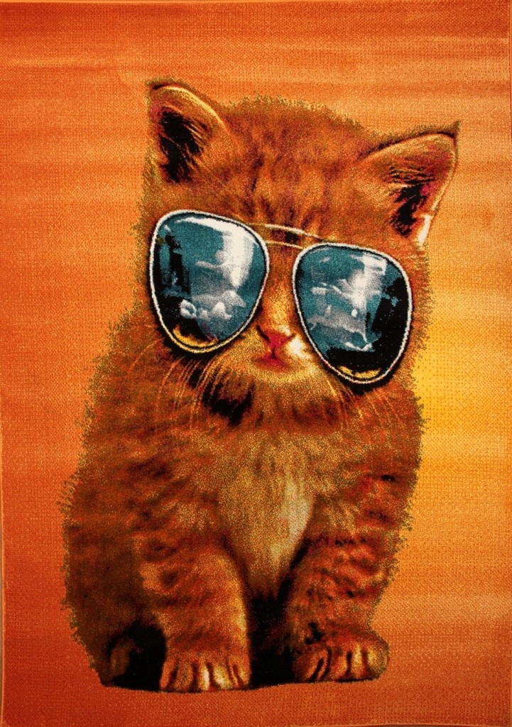 

Dywan z Kotem 133x190 Koloreo Młodzieżowy Dywan