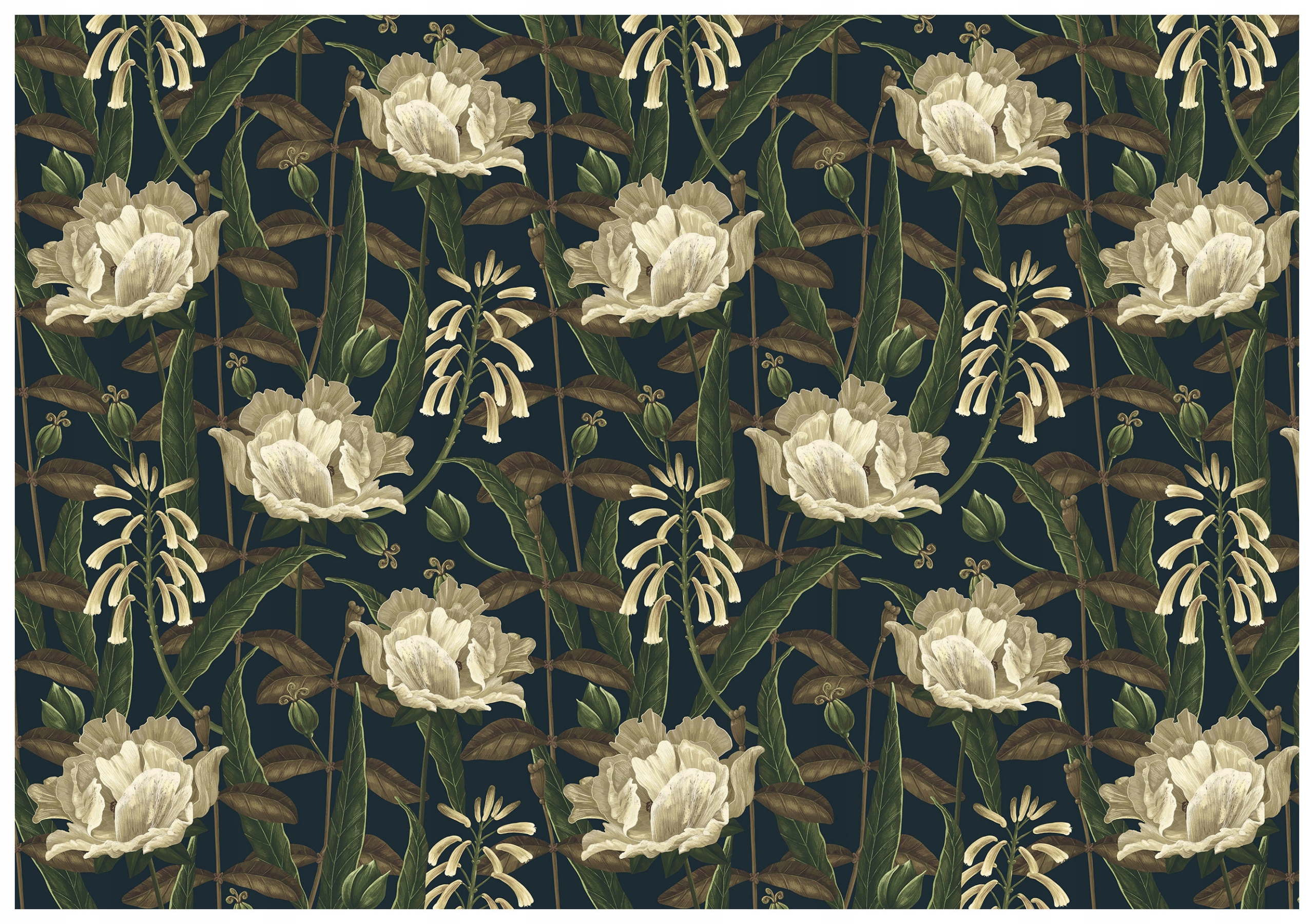 Fototapeta Bílé květy vinyl elegance do ložnice 254x184 stylová lepidlo