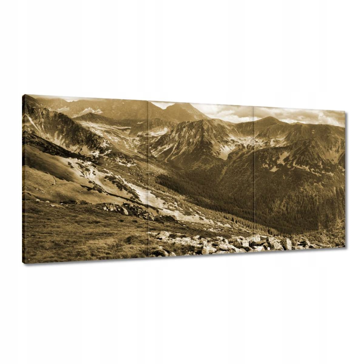 Obrazy 180x90 Tatry Poľské hory Pohľad