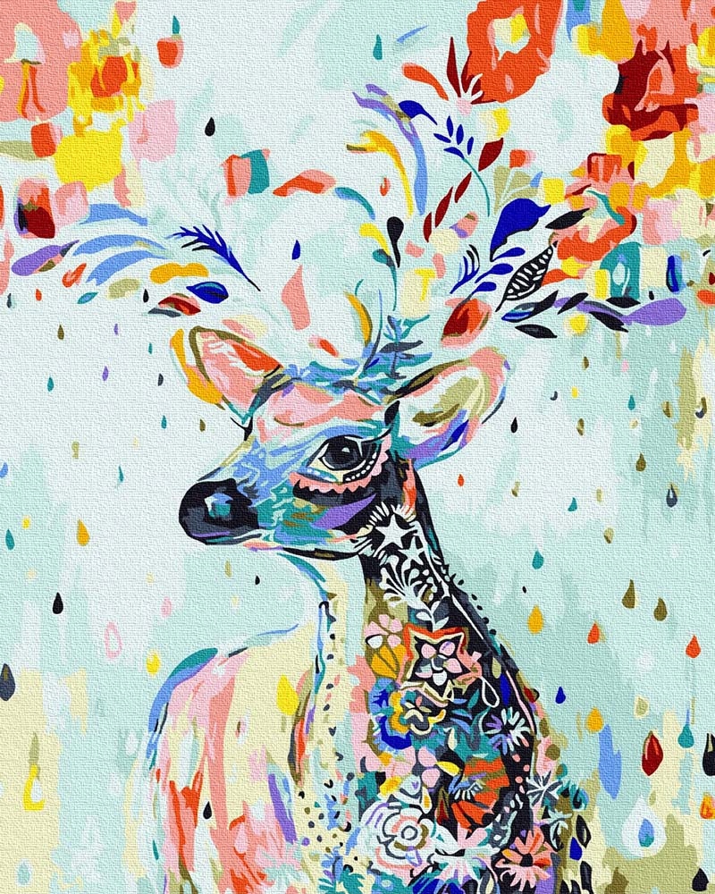 Malování podle čísel iPicasso 50x65 cm na rámu