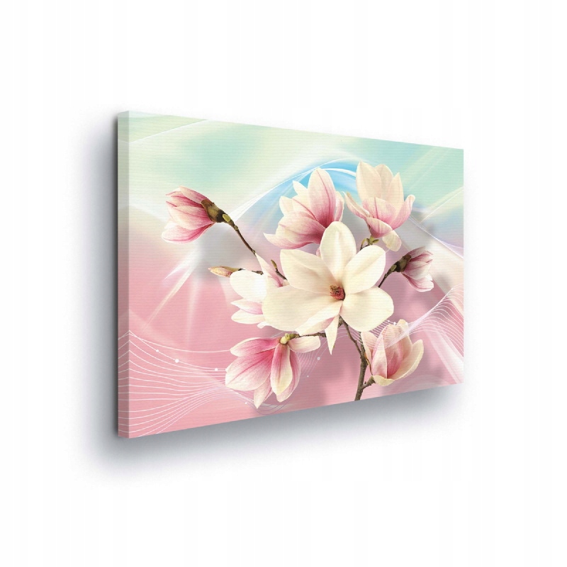 Obraz 100x75 Jemnost magnolie jaro, pastelové květiny, lehkost, svěžest