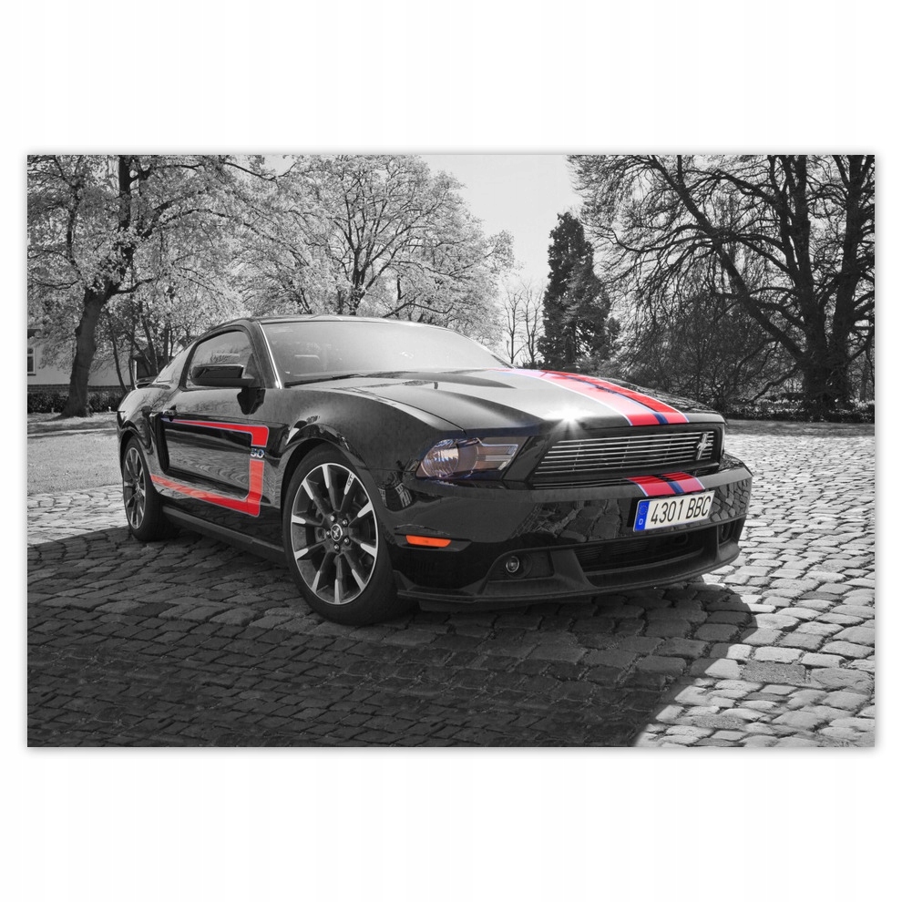 

Fototapety flizelina 312x219 Czarny Ford Mustang