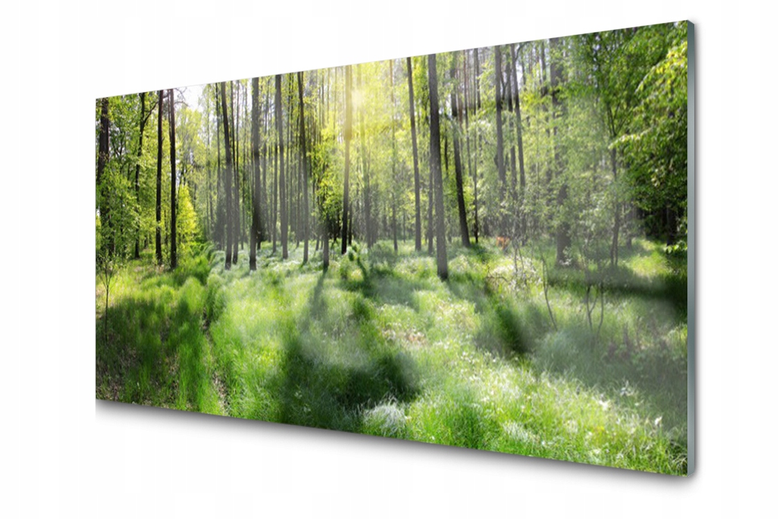 

Panel szklany Płytka Las Trawa Roślina 120x60
