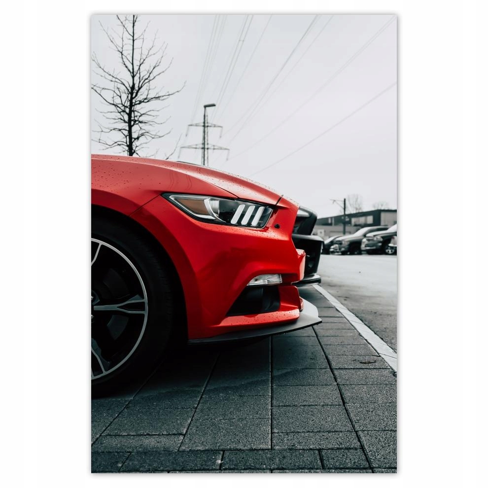 

Plakaty 40x60 Motoryzacja Samochód Auta