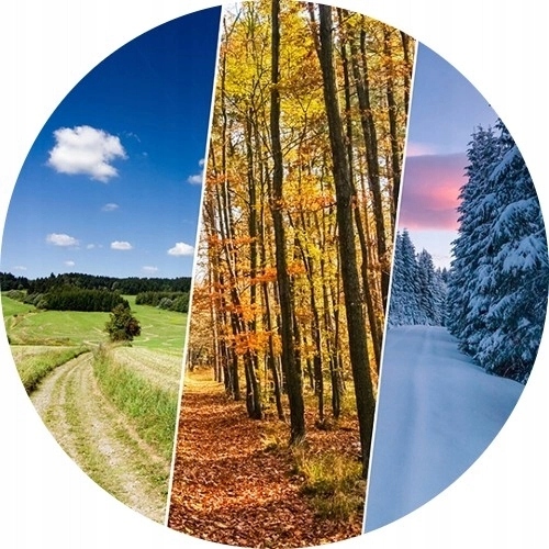 2x Opony Całoroczne 225/70R16 Radar Dimax 4 Season Marka Radar