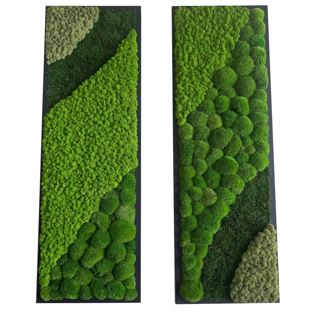 Obrazy v kompozici komplet chrobotek, polštářový mech, plochý 120 x 40 cm