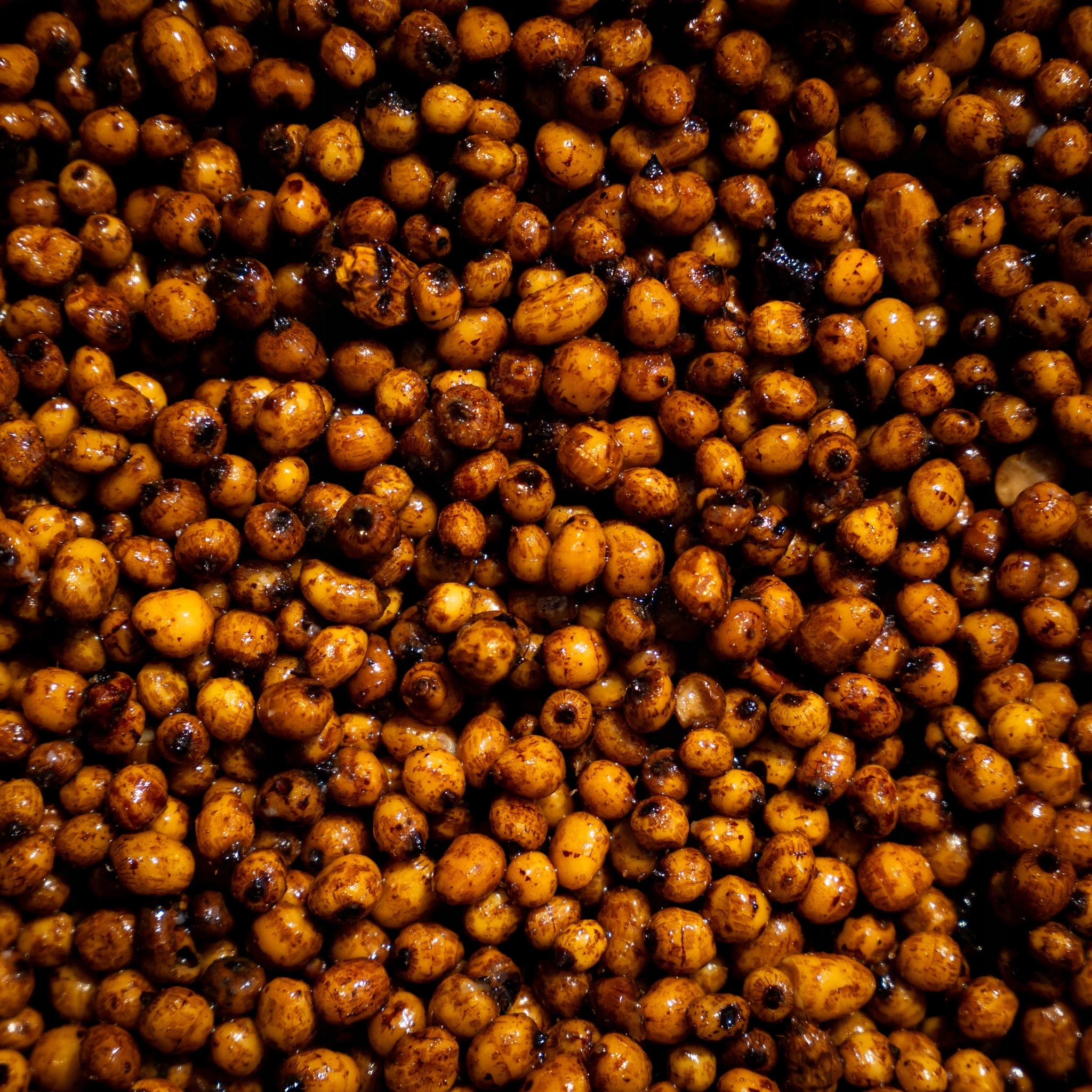 Carpcorn Gotowany Orzech Tygrysi Gotowy 4kg Ziarna Wędkarskie Bulwy