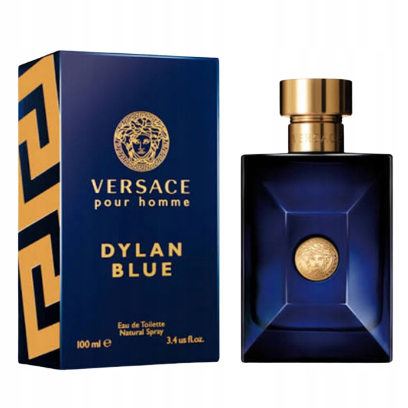 Versace Pour Homme Dylan Blue Toaletní voda pro muže Edt 100 ml